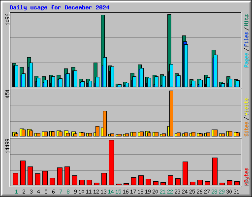 Daily usage for December 2024