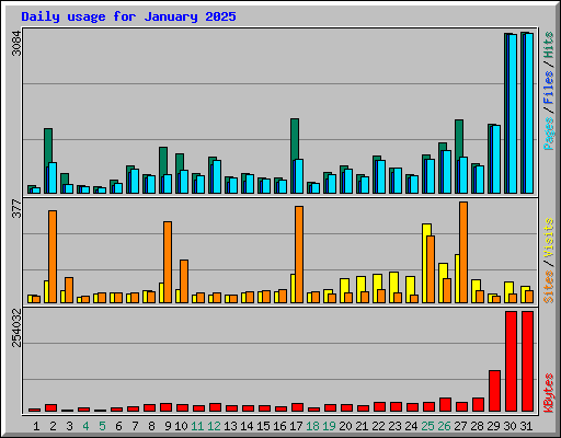 Daily usage for January 2025