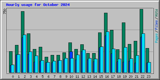 Hourly usage for October 2024
