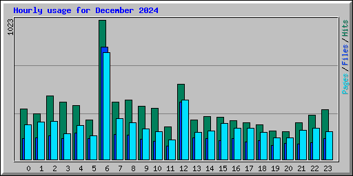 Hourly usage for December 2024