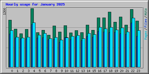 Hourly usage for January 2025