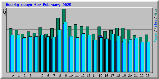 Hourly usage for February 2025