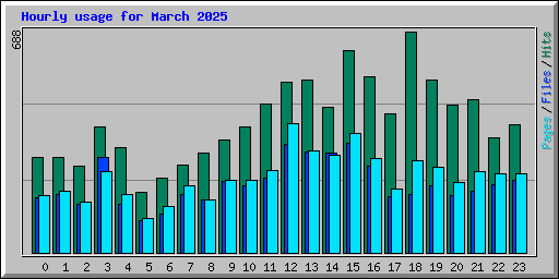 Hourly usage for March 2025