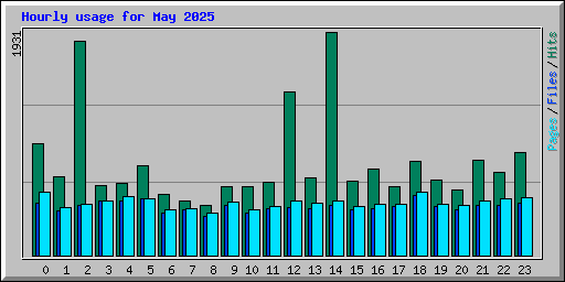 Hourly usage for May 2025
