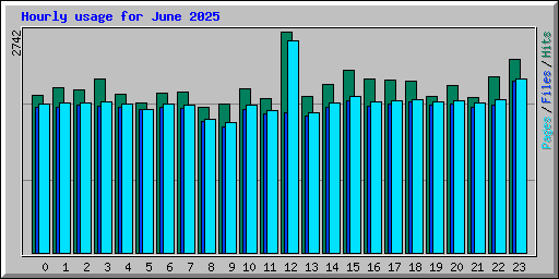 Hourly usage for June 2025